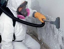 Why You Should Choose Our Mold Remediation Services in Thunder Mountain, NM